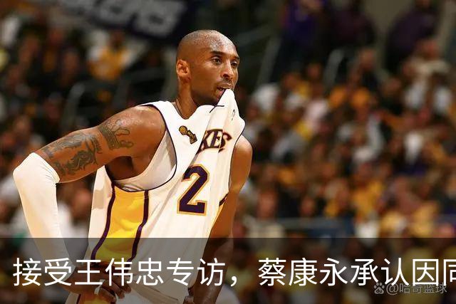 接受王伟忠专访，蔡康永承认因同性酒吧被查而现身沈伯洋竞选大会