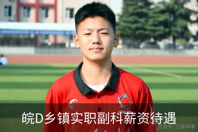 皖D乡镇实职副科薪资待遇